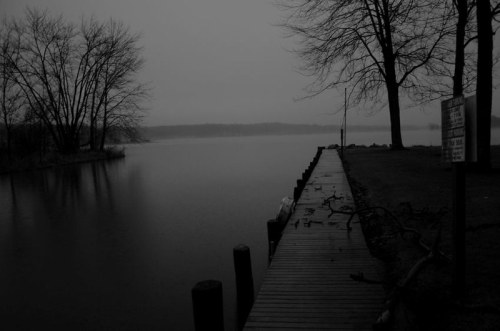 A foggy lakeside scene with a wooden dock, bare trees, and calm water reflecting the gray sky.