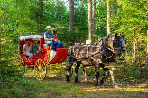 A horse-drawn carriage travels through a lush forest, with passengers enjoying the scenic ride.