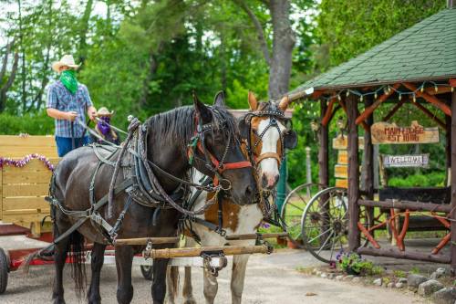Two horses in harness stand in front of a rustic welcome sign, with a cowboy in the background wearing a bandana.