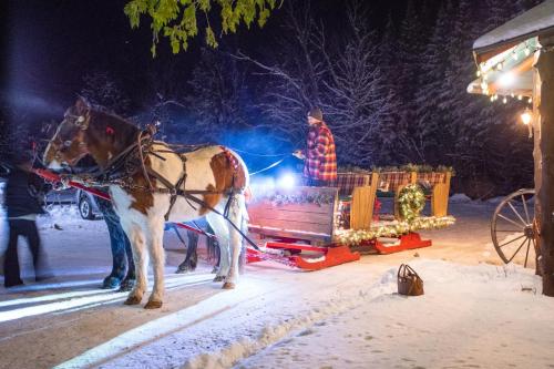 A horse-drawn sleigh decorated for the holidays, with a person in a plaid shirt preparing for a nighttime ride in the snow.
