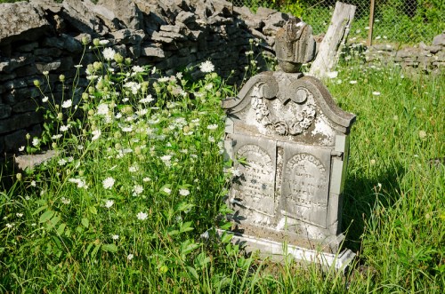 A weathered gravestone surrounded by wildflowers and tall grass in a serene, overgrown cemetery.