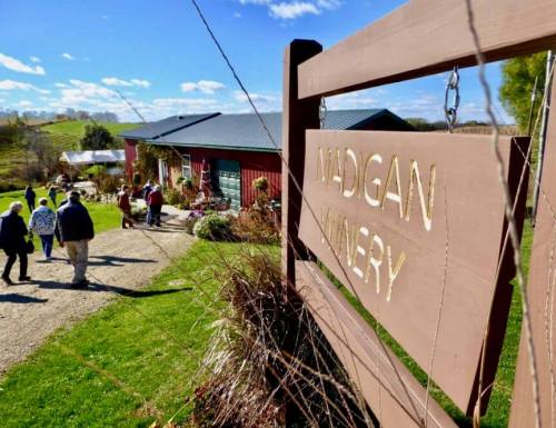 A sign for Madigan Winery with visitors walking towards the winery on a sunny day. Green fields and blue sky in the background.