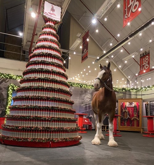 A large Christmas tree made of bottles stands beside a Clydesdale horse in a festive indoor setting.