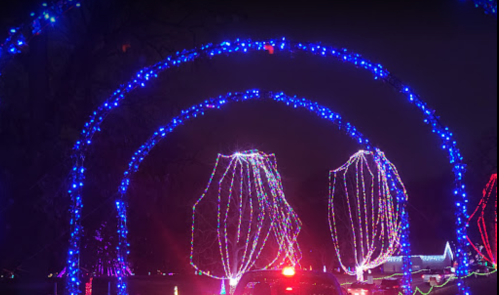 Colorful holiday lights create an archway over a road, illuminating the night sky with vibrant blue and multicolored displays.
