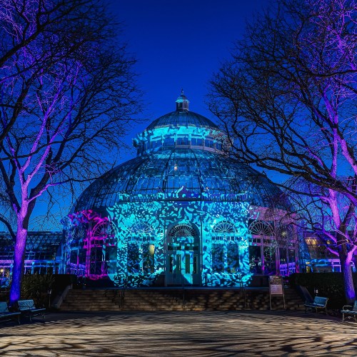 A beautifully lit glass conservatory at night, surrounded by trees, with colorful projections illuminating its facade.