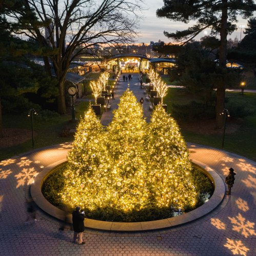 A beautifully lit Christmas tree surrounded by glowing decorations in a park at dusk, with people enjoying the scene.