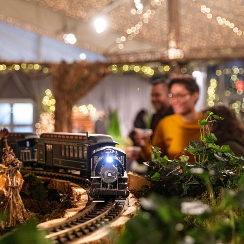 A model train travels along a track surrounded by greenery, with festive lights and people enjoying the scene in the background.