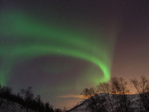 A stunning display of the northern lights illuminates the night sky above silhouetted trees and a distant mountain.