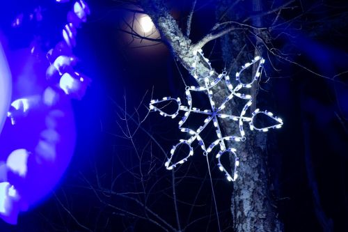 A glowing snowflake decoration hangs from a tree branch, illuminated against a dark night sky with a full moon.