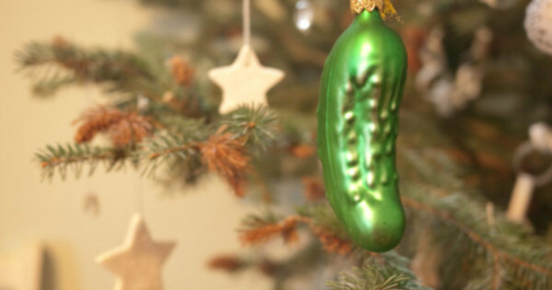 A green pickle ornament hanging on a Christmas tree, surrounded by star decorations.