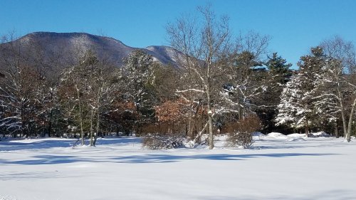 A snowy landscape with trees and a mountain in the background under a clear blue sky.