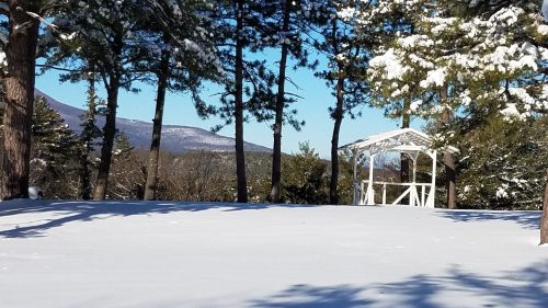 A snowy landscape with tall trees and a white gazebo in the distance, set against a clear blue sky and mountains.