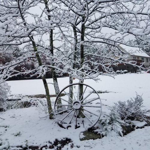 A snowy landscape featuring bare trees, a snow-covered wheel, and a white field in the background.