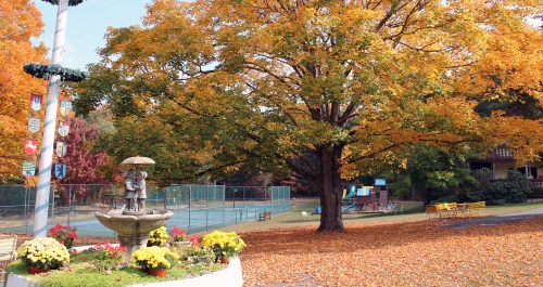 A vibrant autumn scene featuring a fountain, colorful flowers, and a large tree with orange leaves in a park setting.