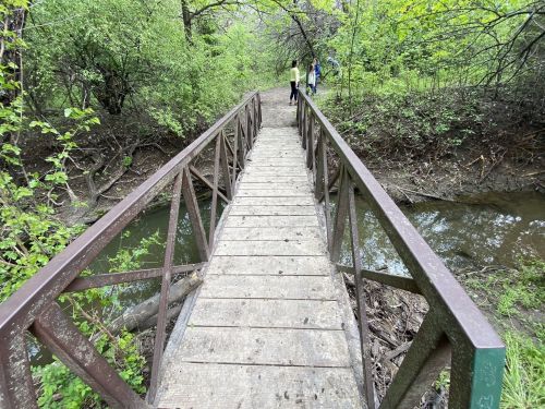 A wooden bridge over a small stream, surrounded by lush greenery and trees, with two people in the background.