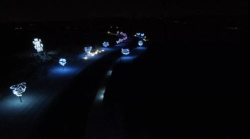 A nighttime scene featuring illuminated decorative lights along a pathway, creating a festive atmosphere.