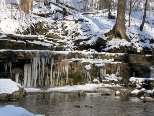 A snowy landscape featuring a stream with icicles hanging from a rocky ledge and trees in the background.