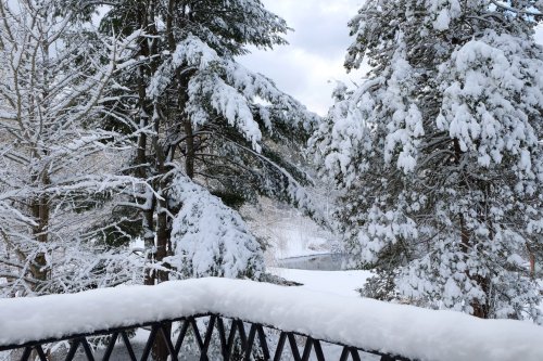 A snowy landscape with trees covered in white snow, viewed from a balcony railing.