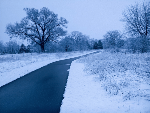 A winding path through a snowy landscape, surrounded by trees and frosted bushes under a gray sky.