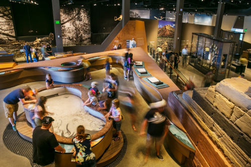 Visitors interact with exhibits in a museum, exploring hands-on displays in a lively, engaging environment.
