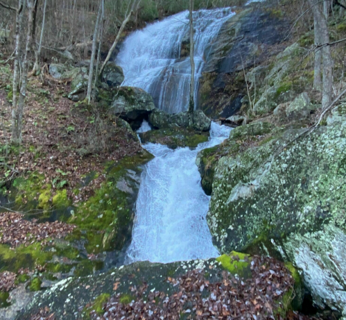A serene waterfall cascades over rocky terrain, surrounded by trees and moss-covered stones in a tranquil forest setting.