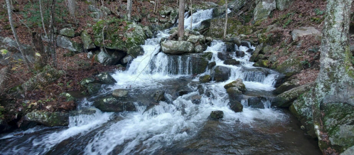 A serene waterfall cascades over rocks in a forested area, surrounded by autumn leaves and trees.