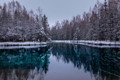 A serene winter landscape featuring a calm, reflective lake surrounded by snow-covered trees.