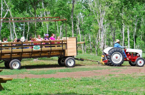 A tractor pulls a wagon filled with children through a green, wooded area on a sunny day.