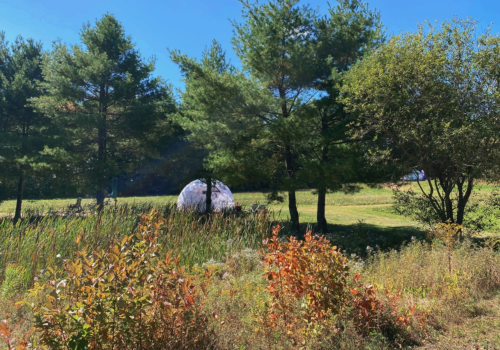 A sunny landscape featuring green trees, colorful foliage, and a dome structure in the background.