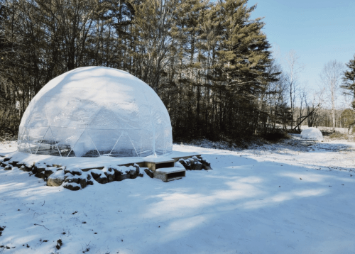 Two geodesic domes in a snowy landscape, surrounded by trees under a clear blue sky.