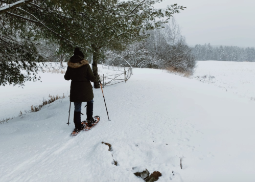 A person snowshoeing on a snowy path surrounded by trees and a winter landscape.