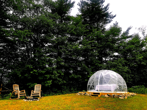 A clear geodesic dome on a grassy area, surrounded by trees, with two wooden chairs nearby.
