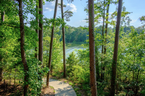 A serene view of a lake surrounded by lush greenery and tall trees, with a winding path leading towards the water.