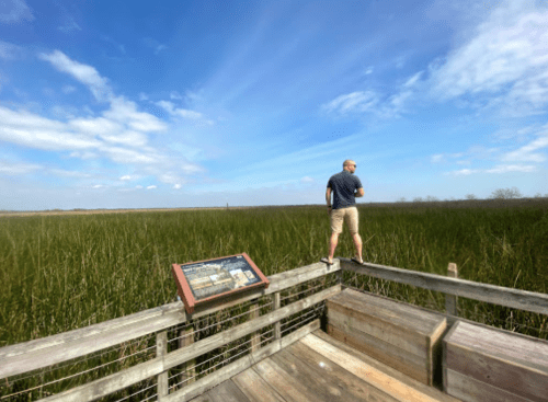 A person stands on a wooden platform overlooking a lush green marsh under a blue sky with scattered clouds.