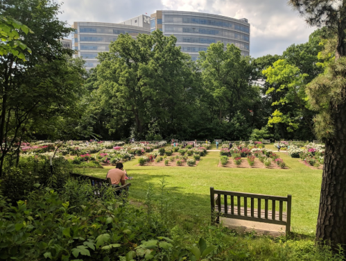 A serene garden with colorful flowers, benches, and a person sitting, framed by a modern building in the background.