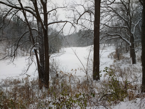 A snowy landscape framed by bare trees, with a frozen lake and a misty background.