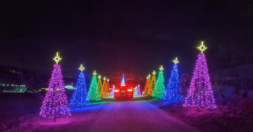A colorful pathway lined with illuminated Christmas trees, leading to a bright star at the end, under a night sky.