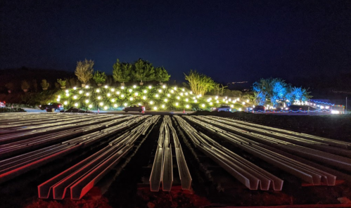 A nighttime view of a field with rows of white structures, illuminated by soft lights from nearby trees and cars.