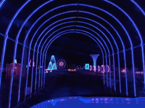 A vibrant display of purple lights forms an archway, leading to colorful illuminated sculptures in a dark setting.