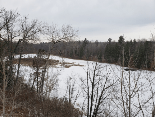 A snowy landscape with bare trees and a frozen lake, surrounded by evergreen forests under a cloudy sky.
