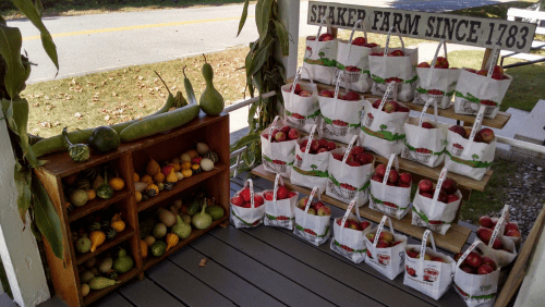 A farm stand displays baskets of apples and various gourds, with a sign reading "Shaker Farm Since 1783."
