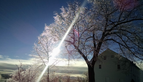 A sunbeam shines through a frosty tree beside a white building against a clear blue sky.
