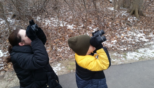 A woman and a child wearing winter clothing are looking up with binoculars in a wooded area.
