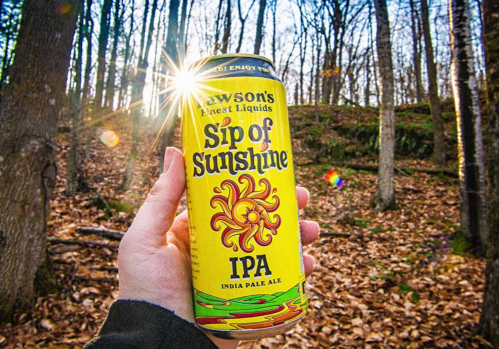 A hand holds a can of Sip of Sunshine IPA in a sunlit forest with trees and fallen leaves in the background.
