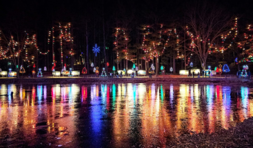 A serene night scene with colorful holiday lights reflecting on a calm pond surrounded by trees.