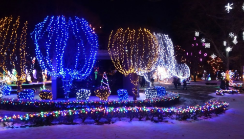 Colorful holiday lights illuminate trees and bushes in a winter landscape, creating a festive nighttime scene.