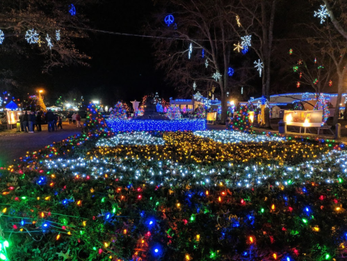 A festive display of colorful Christmas lights illuminating a garden at night, with snowflake decorations above.