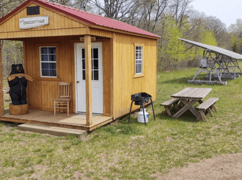 A small wooden cabin with a red roof, a bear statue, picnic table, and grill in a grassy area surrounded by trees.