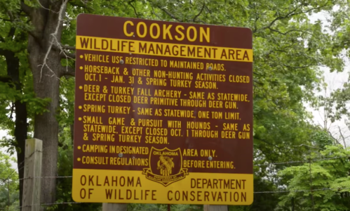 Sign for Cookson Wildlife Management Area detailing regulations for hunting and activities, with a focus on deer and turkey seasons.