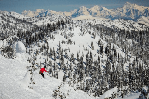 A skier in a red jacket descends a snowy mountain slope, surrounded by evergreen trees and distant snow-capped peaks.